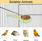 ASOCEA Bird Perch Feeding Cup, Bird Bowls - Image 7