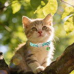 Unique Style Paws Baseball Kitten Collars, Cute Blue Cats Collar - Image 5