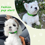 Dinosaur Dog Collar，Green with Multicolor Dino Pattern Handmade Cotton Collar - Image 7