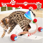 2 PCS Interactive Cat Toy Rolling Ball - Image 3