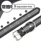 PETCARE Reflective Dog Collar - Image 6