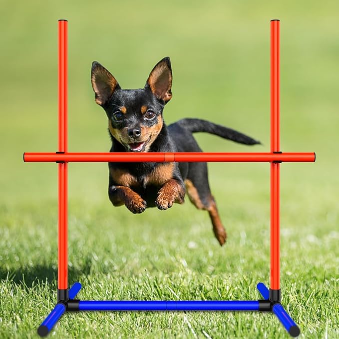 Dog Agility Equipment - Image 2
