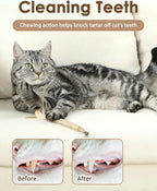 Tocirelo Kitten Chew Toys Teething - Image 3