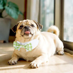 Segarty Dog Bow Tie, Adjustable Green Plaid Bowtie Collar - Image 6