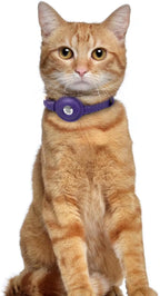 OOPSDOGGY Leather AirTag Cat Collar - Image 6