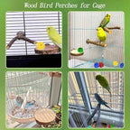 8 PCS Natural Wood Bird Perches Stand - Image 4