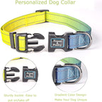 Roses&Poetry Dog Collars for Medium Dogs - Image 3