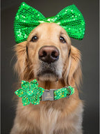 Lionheart glory St. Patrick's Day Dog Collar - Image 5
