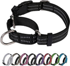 Martingale Dog Collar, Adjustable Nylon Reflective Collar by JOYEEIIOO
