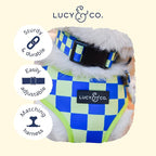 Lucy & Co. Have a Nice Day Dog Collar - Image 3