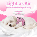 AIITLE Step in Dog Harness and Leash Set - Image 7