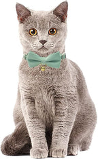 Cotton Breakaway Kitten Collar - Image 3