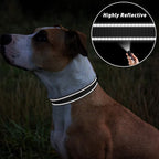 TagME Dog Collars, Adjustable Reflective Nylon Pet Collar - Image 5