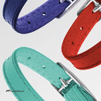 CollarDirect Leather Cat Collar, Kitten Collar - Image 8