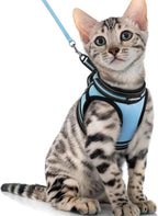 rabbitgoo Cat Harness and Leash Set by rabbitgoo