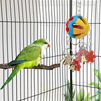 Hypeety Pet Parrot Toy Plastic Colorful Birds Ball - Image 5