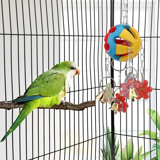 Hypeety Pet Parrot Toy Plastic Colorful Birds Ball - Image 5