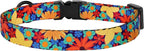 Cat Collars 2 Pack - Image 8