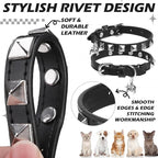 EXPAWLORER Halloween Leather Cat Collar - Image 4