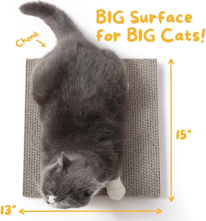 Hide & Scratch Cat Scratcher Pad – 2 Pack | Double-Sided Cardboard Refills - Image 2