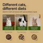 PETLIBRO RFID Automatic Cat Feeders - Image 6