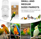 No Mess Bird Feeder Water Dispenser Set, Parakeet Cage Accessories, Bird Feeder - Image 4