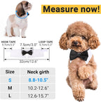 Segarty Bow Tie Cat Collar for Neck Girth 8.8-10.5 in, Tux Puppies Dog Bowtie - Image 2