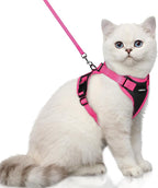 rabbitgoo Cat Harness and Leash Set, Escape Proof Soft Adjustable Vest Harnesses by rabbitgoo