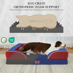 Comfort Expression Orthopedic Dog Bed - Image 3