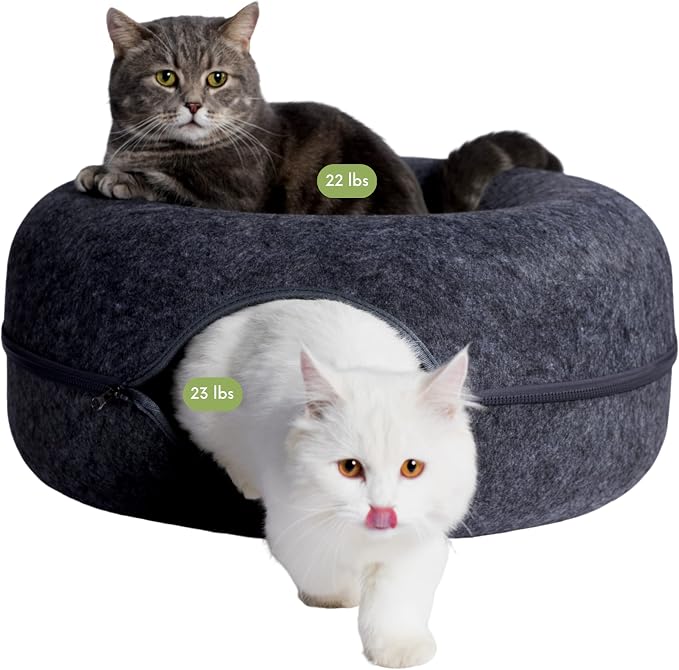 CATTASAURUS Peekaboo Cat Cave for Multiple & Large Cats Up to 30-45 Lbs by Cattasaurus