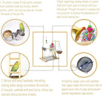 Bird Stand Fun Straw Bell Toys, Parrot Wooden Platform Stand - Image 3