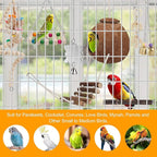 For Parakeet, Love Birds, Parrots - Image 7