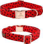 Lionheart glory Dog Collar, Watermelon Dog Collar - Image 5