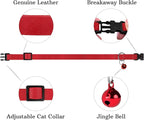 Breakaway Cat Collar Leather - Image 4