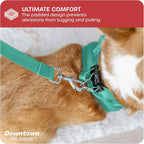 Downtown Pet Supply Step in Dog Harness - Image 6