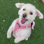 Best Pet Supplies Voyager Step-in Air All Weather Mesh Harness and Reflective - Image 8