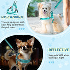 SlowTon No Pull Small Dog Harness and Leash Set, Puppy Soft Vest Harness Neck & - Image 3