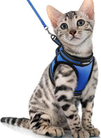 rabbitgoo Cat Harness and Leash Set by rabbitgoo