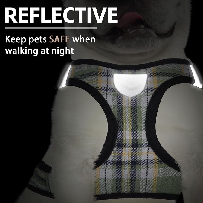 PUPTECK Adjustable Dog Harness Collar and Leash Set Step in No Pull Pet Harness - Image 5
