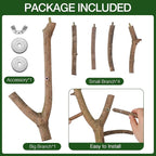 Bird Perch Stand, Natural Vitex Negundo Wood Parrot Perch Bird Cage Branch Perch - Image 6