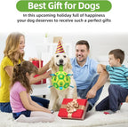QDAN Dog Toys Soccer Ball, Dog Tug Toy, Water Toy, Durable Balls - Image 2