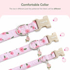Faygarsle Pink Floral Dog Collar - Image 5