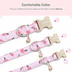 Faygarsle Pink Floral Dog Collar - Image 5