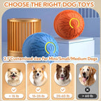 Interactive Dog Toys Dog Balls, Durable Motion Activated Automatic Rolling Ball - Image 3