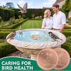 1 Pcs Copper Disc for Bird Bath | 99.99% Pure Copper Plate & Birdbath Disk | - Image 7