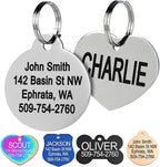 GoTags Stainless Steel Pet ID Tags, Personalized Dog Tags and Cat Tags by GoTags