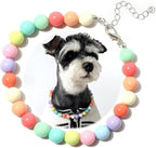 Hosiwei Dog and Cat Rainbow Beads Collar Necklace, Faux Pearls Necklace Pet by Hosiwei