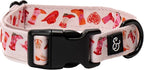 Lucy & Co. Howdy Honey Adjustable Dog Collar- Cute Designer Pet Collar by LucyCo