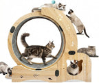 6-in-1 Cat Exercise Wheel by Unknown