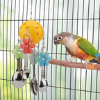 Hypeety Pet Parrot Toy Plastic Colorful Birds Ball - Image 7